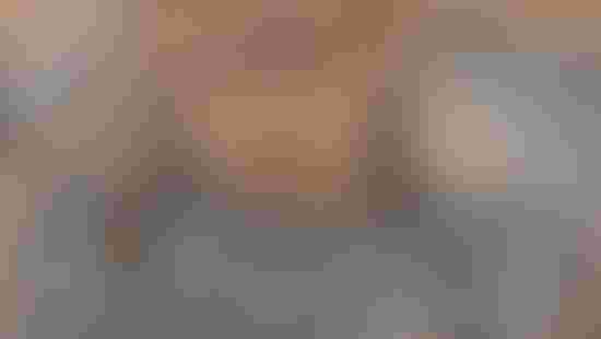 toybox_mural_navrh_final_01